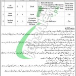 WAPDA Hospital Guddu Jobs