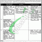 Special Education Department Punjab Jobs