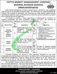 Cattle Market Management Company Sahiwal Jobs