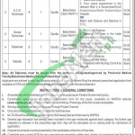 WAPDA Hospital Quetta Jobs