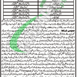 Elementary & Secondary Education KPK Peshawar Jobs