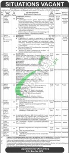 Federal Government Pakistan Jobs