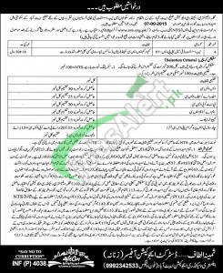 KPK Elementary & Secondary Education Jobs NTS