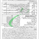 KPK Elementary and Secondary Education Jobs