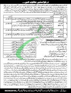 KPK Elementary and Secondary Education Jobs