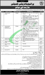 Privatization Commission Jobs