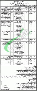 Directorate of Industries Punjab Jobs