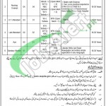 WAPDA Hospital Tarbela Jobs