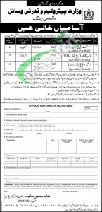 Ministry of Petroleum & Natural Resources Jobs