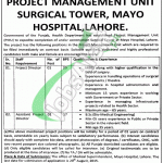 Jobs in Mayo Hospital Lahore