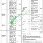 Nawaz Sharif Hospital Lahore Jobs