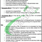 Energy Department Punjab Jobs