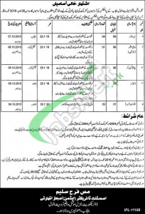 Social Welfare Department Punjab Jobs