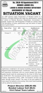 Labour & Human Resource Department Punjab Jobs
