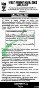 UVAS Jobs