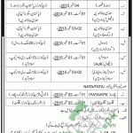 Pakistan Rangers Jobs