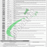 Finance Division Jobs