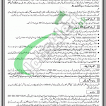 SBP Jobs