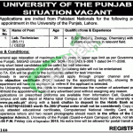 Punjab University Jobs