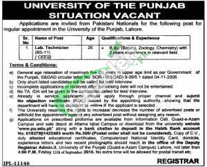 Punjab University Jobs