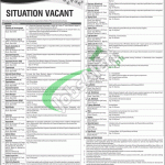 University of Poonch Rawalakot Jobs