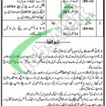 Punjab Environmental Tribunal Lahore Jobs