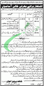 Punjab Environmental Tribunal Lahore Jobs