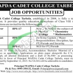 WAPDA Cadet College Tarbela Jobs