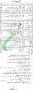 PHA Bahawalpur Jobs