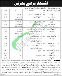 Govt Of Punjab Jobs