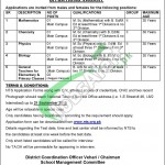 DPS Burewala Jobs