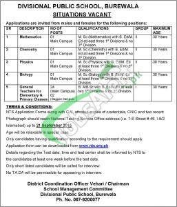 DPS Burewala Jobs