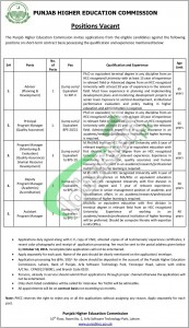 HEC Punjab Jobs