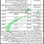 District & Session Court Jamshoro Jobs
