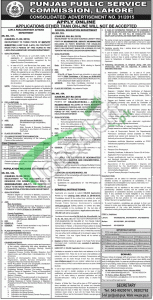 PPSC Headmaster Jobs