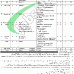 FBR Jobs