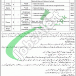 WAPDA Hospital Mangla Jobs