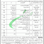 Pakistan Mint Lahore Jobs