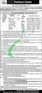 Literacy & Non Formal Basic Education Jobs