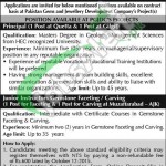 Pakistan Gems & Jewellery Development Company Jobs 