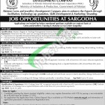 PGJDC Jobs