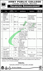 Jobs in Army Public School Murree