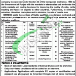 Cattle Market Management Company Sahiwal Division Jobs