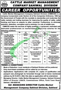 Cattle Market Management Company Sahiwal Division Jobs