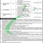 District & Session Court Matiari Jobs 2025 Latest Advertisement Session Court Matiari Jobs