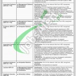 University of Loralai Jobs