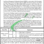 Jobs in Board of Revenue Punjab Lahore