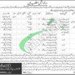 Jobs in Balochistan Provincial Library