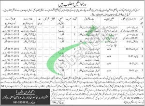 Jobs in Balochistan Provincial Library