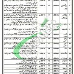 Jobs in Health Department Hafizabad